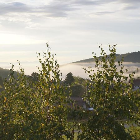 Gites Du Taennchel Танненкірш Екстер'єр фото